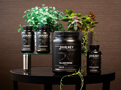 Journey Bariatric Essentials + Protein